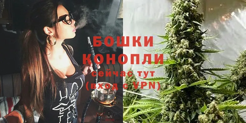 Конопля White Widow  Звенигово 